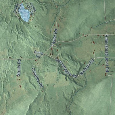 Close-up of the map of Fence, Wisconsin print showing street and building detail
