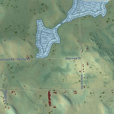 Close-up of the map of Forest, Fond du Lac County, Wisconsin print showing street and building detail