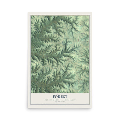 Map of Forest, Vernon County, Wisconsin, 12 x 18 inch unframed archival matte print