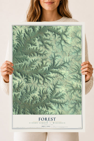 Map of Forest, Vernon County, Wisconsin, 18 x 24 inch unframed archival matte print