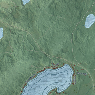 Close-up of the map of Freedom, Forest County, Wisconsin print showing street and building detail