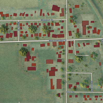 Close-up of the map of Friesland, Wisconsin print showing street and building detail