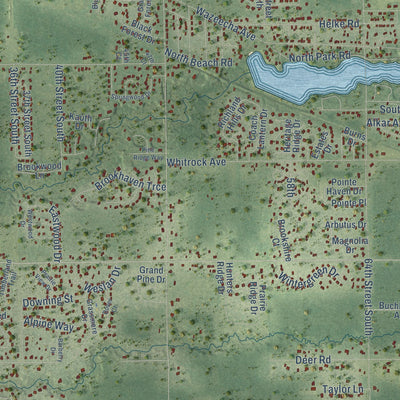 Close-up of the map of Grand Rapids, Wisconsin print showing street and building detail