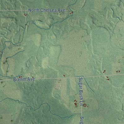 Close-up of the map of Greenwood, Taylor County, Wisconsin print showing street and building detail