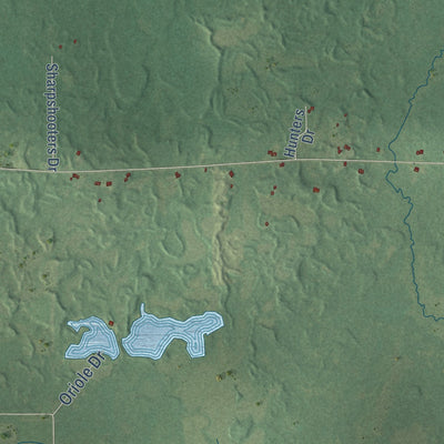 Second close-up of the map of Greenwood, Taylor County, Wisconsin print showing more streets and buildings