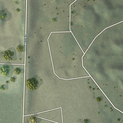 Second close-up of the map of Haugen, Wisconsin print showing more streets and buildings