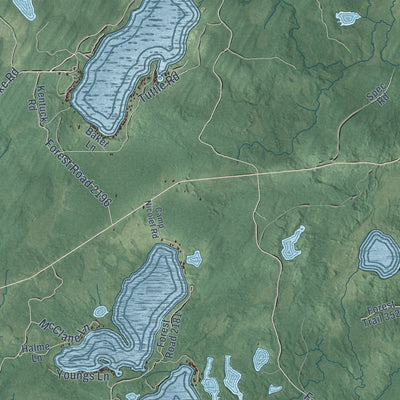 Close-up of the map of Hiles, Forest County, Wisconsin print showing street and building detail