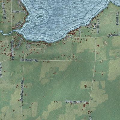 Close-up of the map of Lake, Marinette County, Wisconsin print showing street and building detail