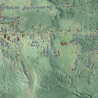 Second close-up of the map of Lakewood, Wisconsin print showing more streets and buildings