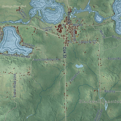 Close-up of the map of Laona, Wisconsin print showing street and building detail