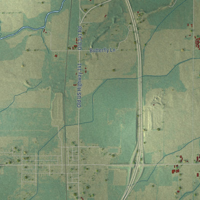 Close-up of the map of the Town of Lena, Wisconsin print showing street and building detail