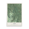 Map of Leon, Monroe County, Wisconsin, 12 x 18 inch unframed archival matte print
