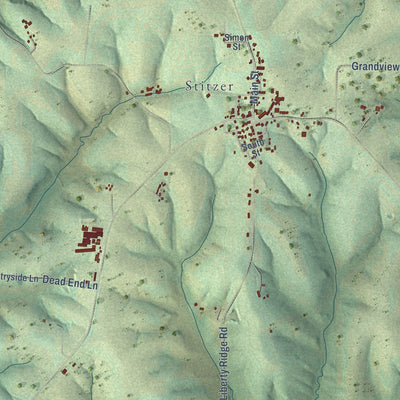 Close-up of the map of Liberty, Grant County, Wisconsin print showing street and building detail