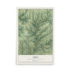 Map of Lima, Grant County, Wisconsin, 12 x 18 inch unframed archival matte print