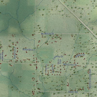 Close-up of the map of Lincoln, Wood County, Wisconsin print showing street and building detail
