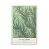 Map of Little Grant, Wisconsin, 12 x 18 inch unframed archival matte print