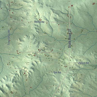 Second close-up of the map of Ludington, Wisconsin print showing more streets and buildings