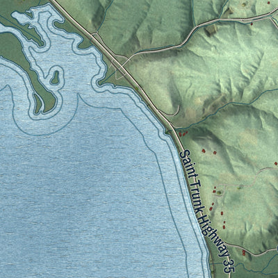 Close-up of the map of the Town of Maiden Rock, Wisconsin print showing street and building detail