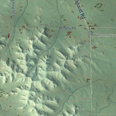 Second close-up of the map of Manchester, Jackson County, Wisconsin print showing more streets and buildings