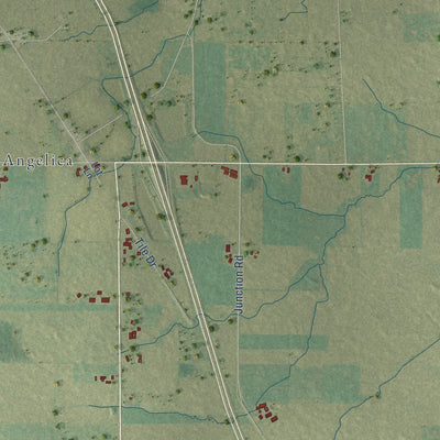 Close-up of the map of Maple Grove, Shawano County, Wisconsin print showing street and building detail