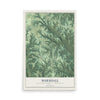 Map of Marshall, Richland County, Wisconsin, 12 x 18 inch unframed archival matte print