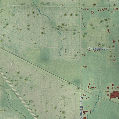 Close-up of the map of the Town of Marshfield, Wood County, Wisconsin print showing street and building detail