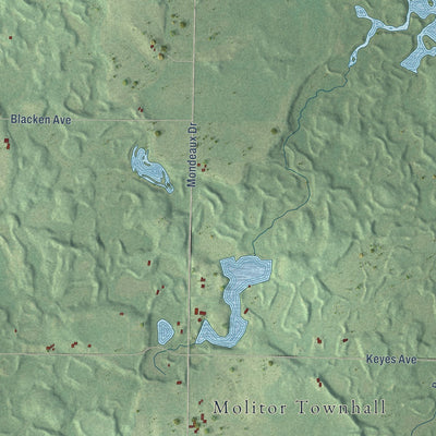 Close-up of the map of Molitor, Wisconsin print showing street and building detail
