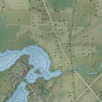 Second close-up of the map of the Town of Mukwonago, Wisconsin print showing more streets and buildings