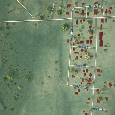 Close-up of the map of Newald, Wisconsin print showing street and building detail