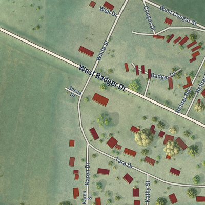 Second close-up of the map of Oakdale, Wisconsin print showing more streets and buildings