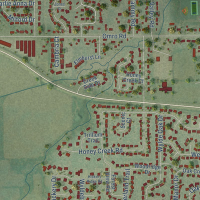 Close-up of the map of Oakwood, Wisconsin print showing street and building detail