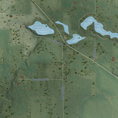 Close-up of the map of Oasis, Wisconsin print showing street and building detail
