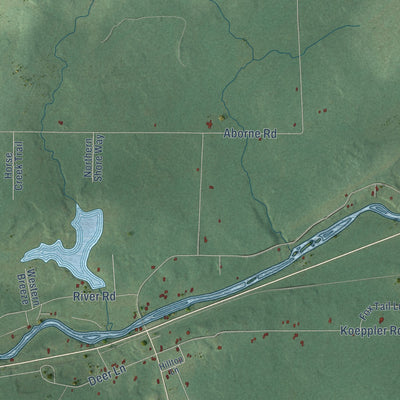 Close-up of the map of Ojibwa, Wisconsin print showing street and building detail