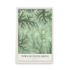 Map of the Town of Patch Grove, Wisconsin, 12 x 18 inch unframed archival matte print