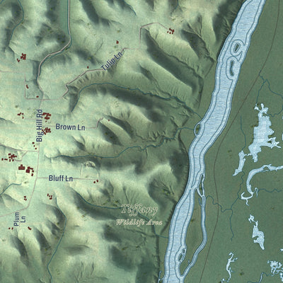 Second close-up of the map of the Town of Pepin, Wisconsin print showing more streets and buildings