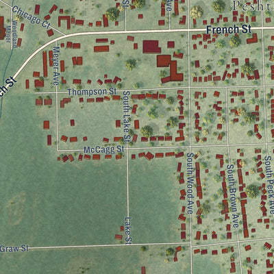Second close-up of the map of Peshtigo, Wisconsin print showing more streets and buildings