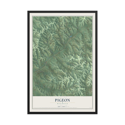 Map of Pigeon, Wisconsin, 12 x 18 inch print in a black wood frame