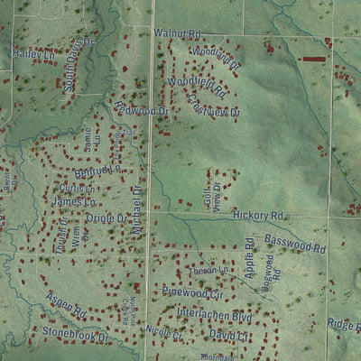 Close-up of the map of Pleasant Valley, Eau Claire County, Wisconsin print showing street and building detail