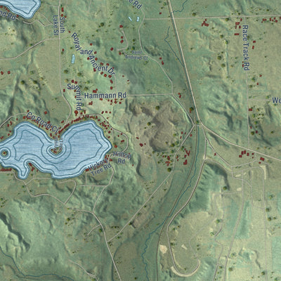 Close-up of the map of Rhine, Wisconsin print showing street and building detail