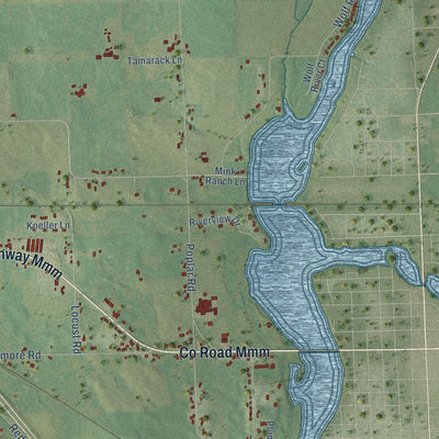 Close-up of the map of Richmond, Shawano County, Wisconsin print showing street and building detail