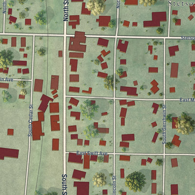 Close-up of the map of Stetsonville, Wisconsin print showing street and building detail