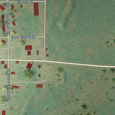 Second close-up of the map of Suring, Wisconsin print showing more streets and buildings