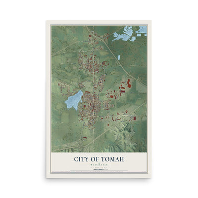 Map of Tomah, Wisconsin, 12 x 18 inch unframed archival matte print