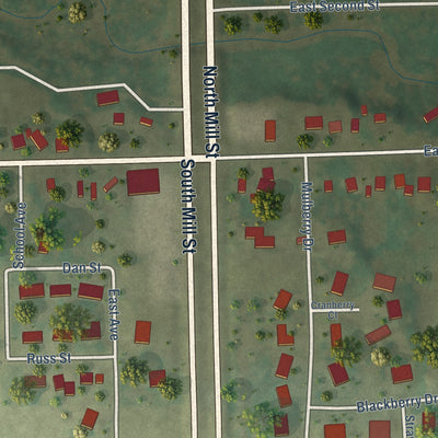 Close-up of the map of Waldo, Wisconsin print showing street and building detail