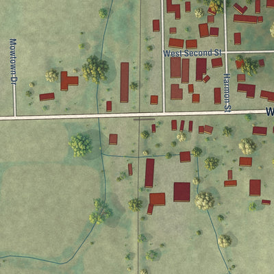 Second close-up of the map of Waldo, Wisconsin print showing more streets and buildings
