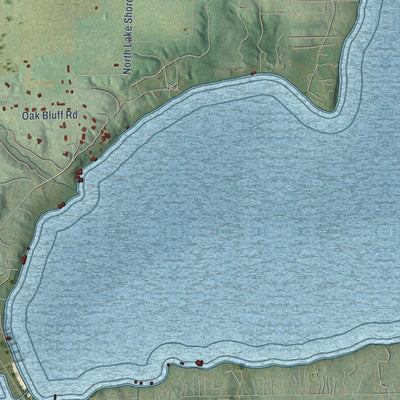Close-up of the map of the Town of Walworth, Wisconsin print showing street and building detail