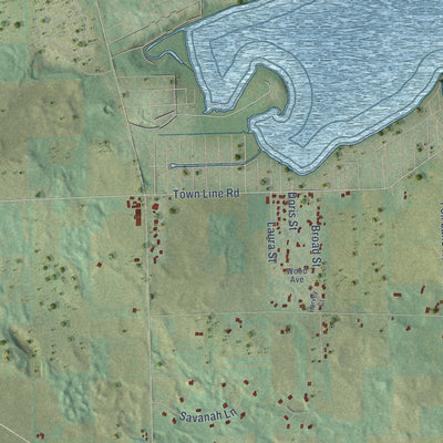 Second close-up of the map of the Town of Walworth, Wisconsin print showing more streets and buildings