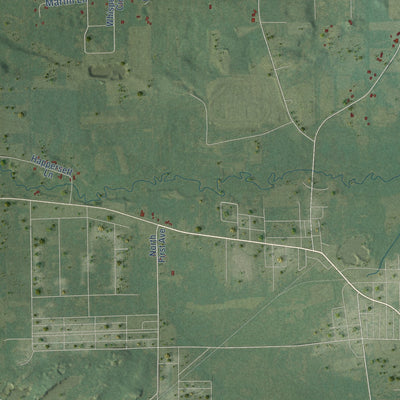 Close-up of the map of Warren, Waushara County, Wisconsin print showing street and building detail