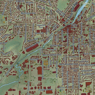 Close-up of the map of Waukesha, Wisconsin print showing street and building detail