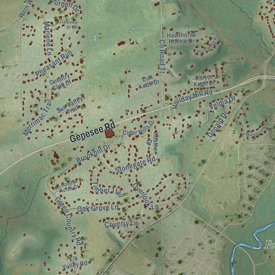 Close-up of the map of the Village of Waukesha, Wisconsin print showing street and building detail